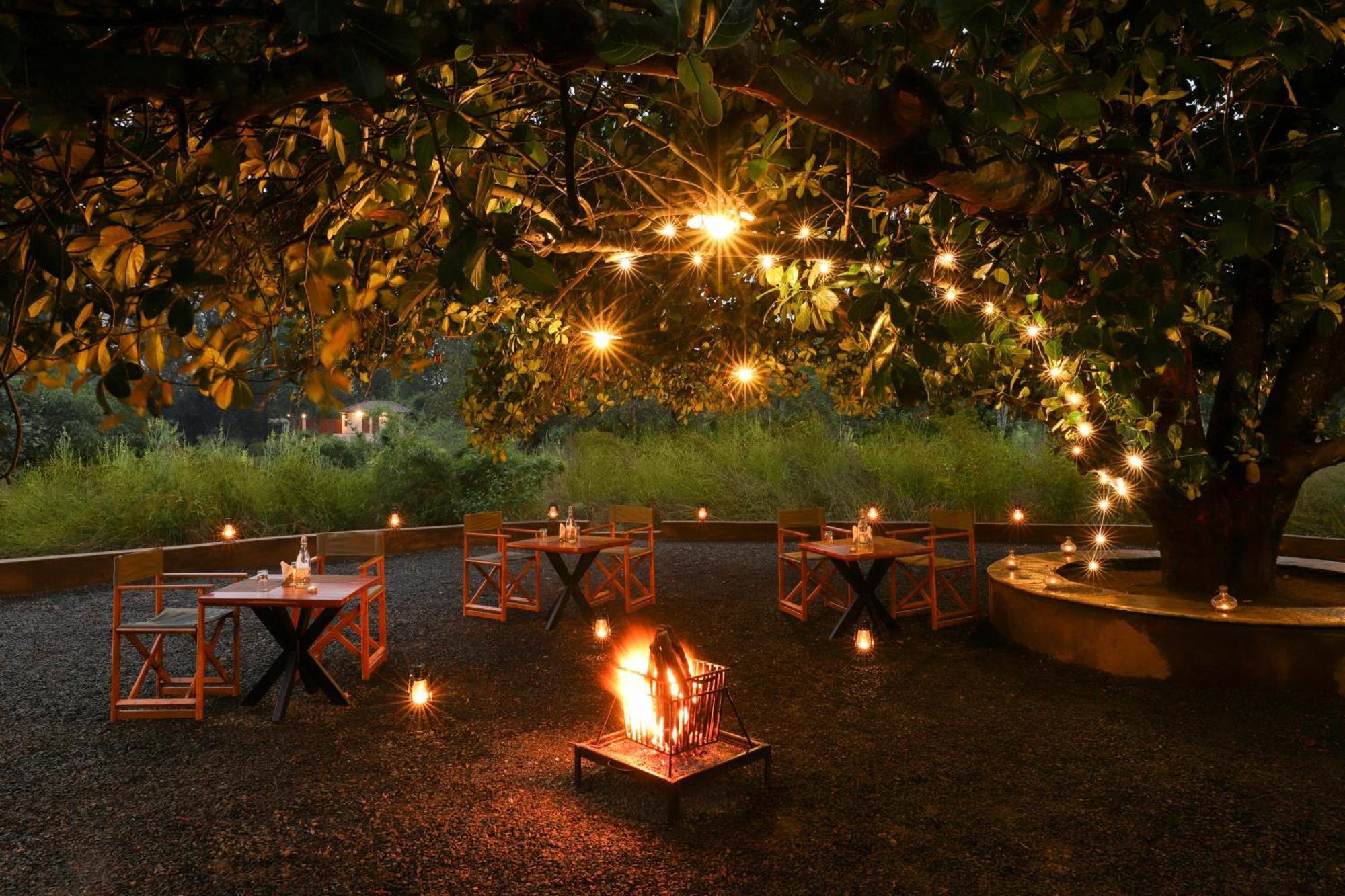 Lemon Tree Wildlife Resort, Kānha Eksteriør bilde